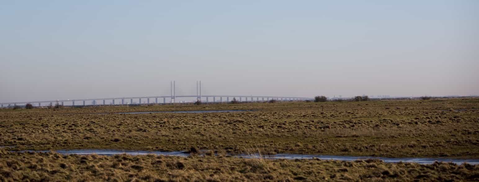 Landskab med Øresundsbroen i baggrunden