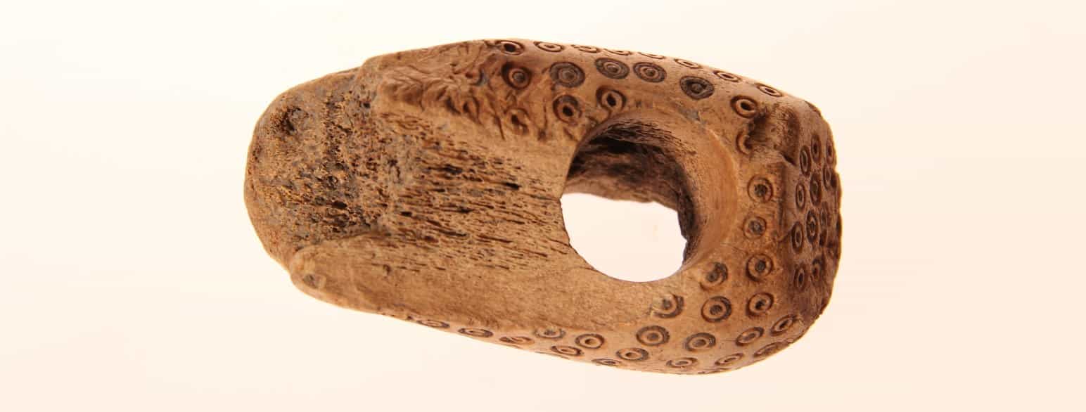 Hjortetaksøkse fra yngre bronzealder fundet ved anlæggelsen af Solrødgård i Hillerød Syd