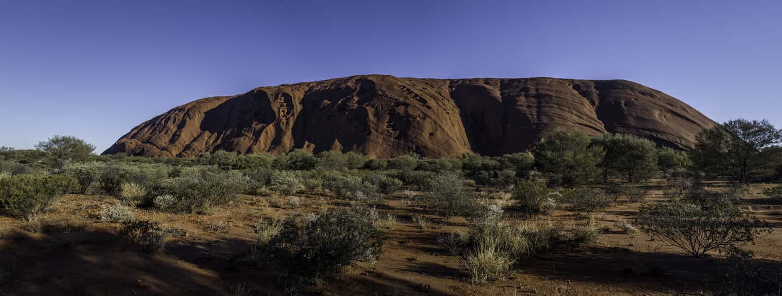 Ayers Rock/Uluru fotograferet 29. juli 2014