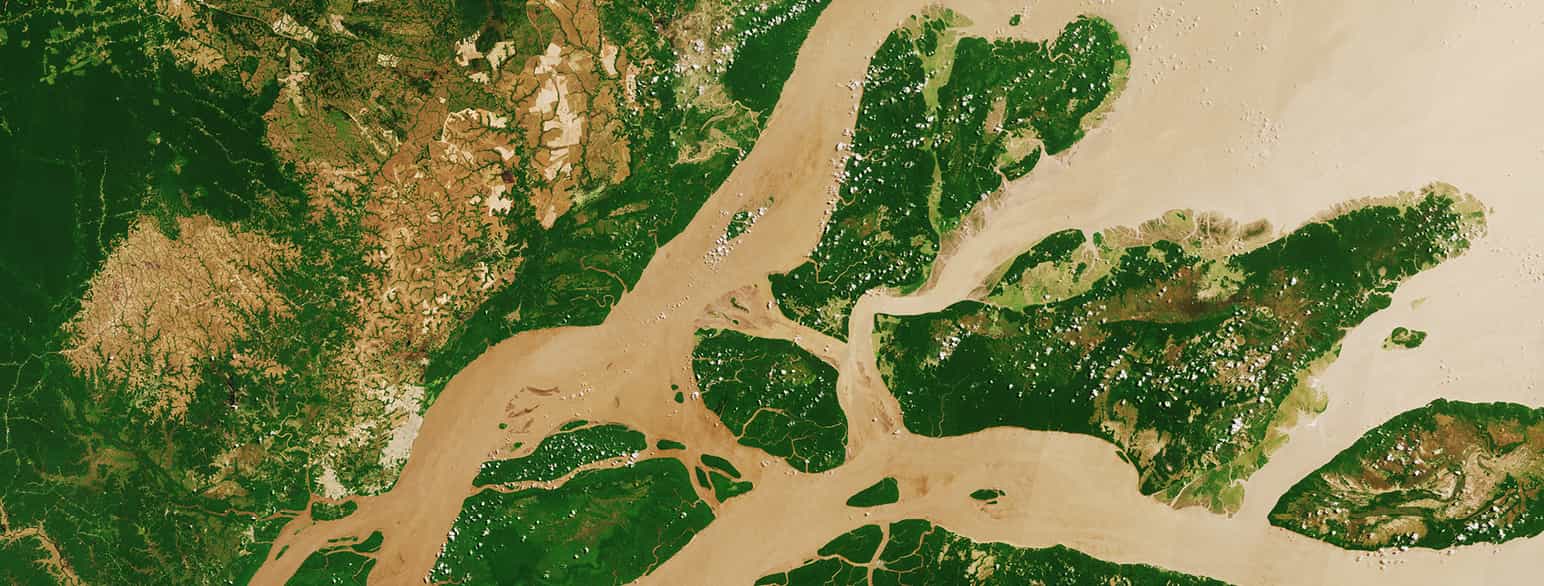 Amazonasflodens delta
